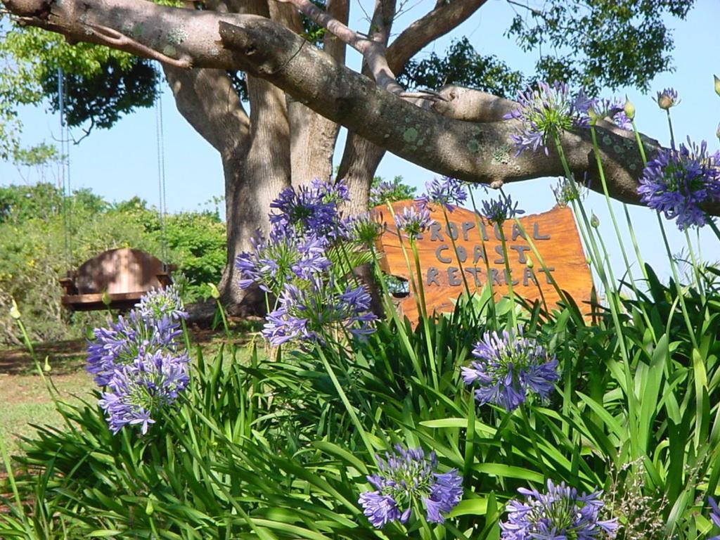 Tropical Coast Retreat - Pet Friendly - Adult Only Guest House Kingscliff Bagian luar foto