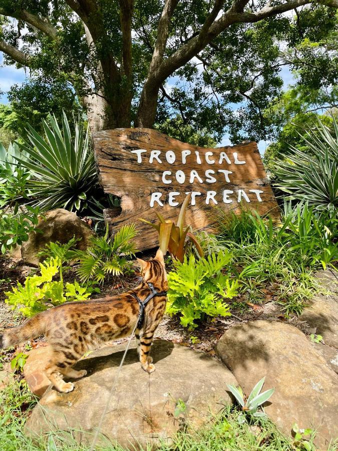 Tropical Coast Retreat - Pet Friendly - Adult Only Guest House Kingscliff Bagian luar foto
