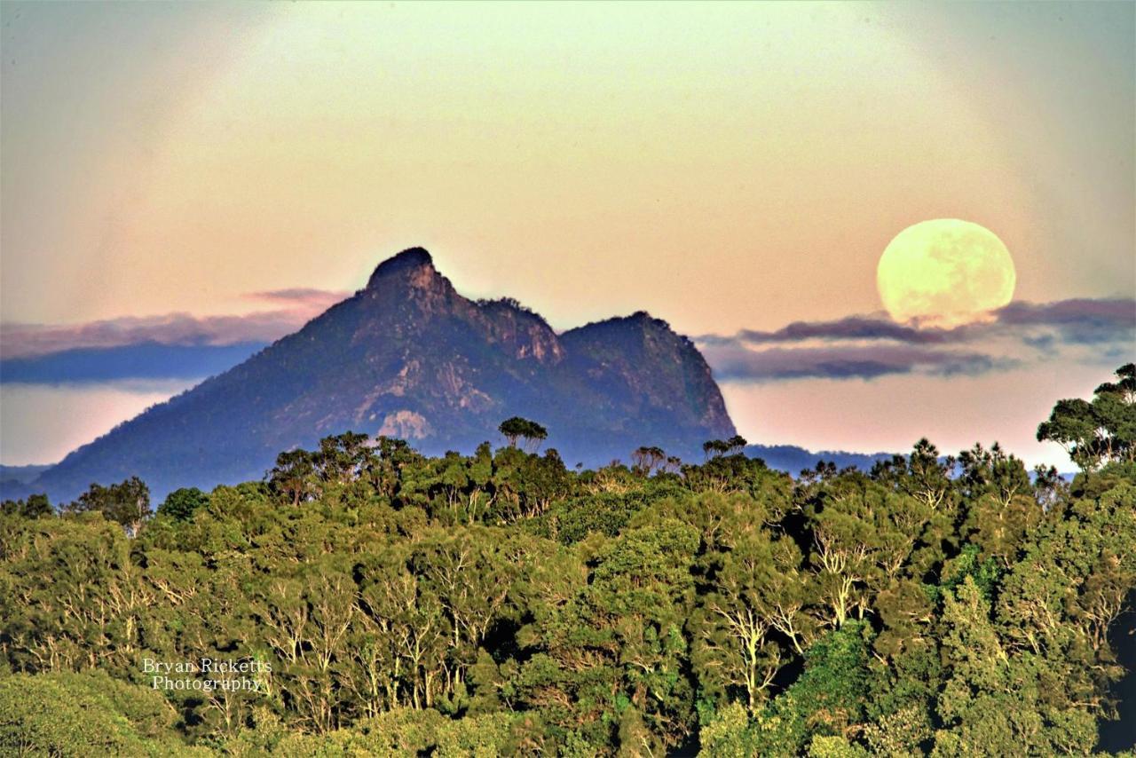 Tropical Coast Retreat - Pet Friendly - Adult Only Guest House Kingscliff Bagian luar foto