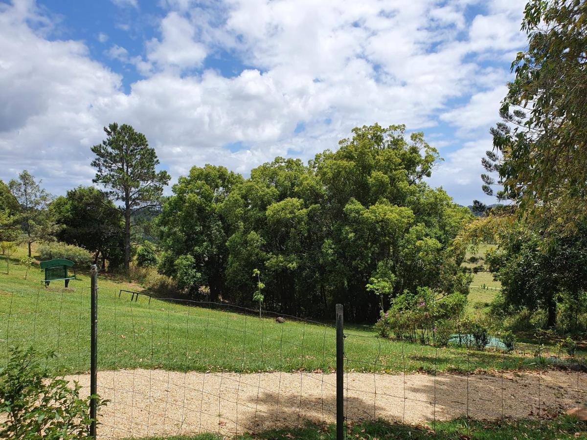 Tropical Coast Retreat - Pet Friendly - Adult Only Guest House Kingscliff Bagian luar foto