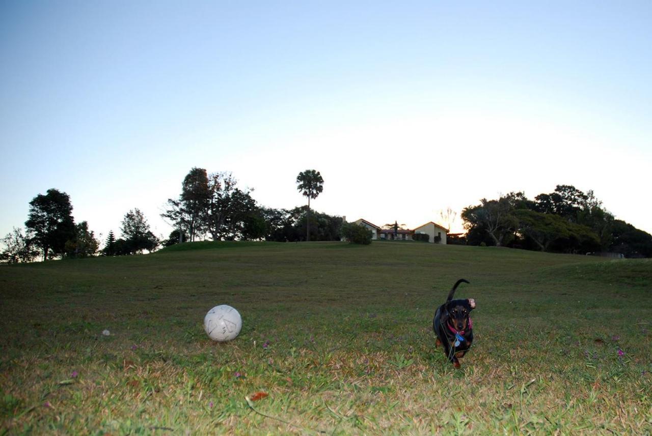 Tropical Coast Retreat - Pet Friendly - Adult Only Guest House Kingscliff Bagian luar foto