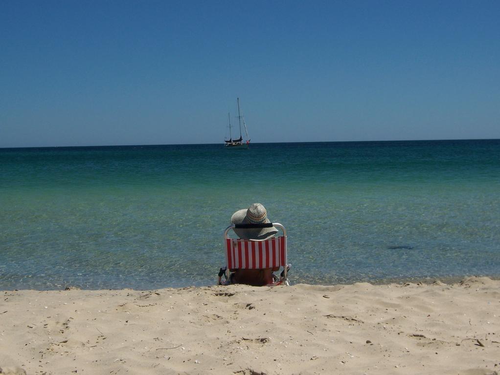 Tropical Coast Retreat - Pet Friendly - Adult Only Guest House Kingscliff Bagian luar foto
