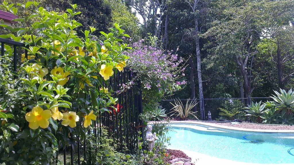 Tropical Coast Retreat - Pet Friendly - Adult Only Guest House Kingscliff Bagian luar foto