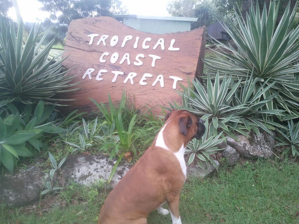 Tropical Coast Retreat - Pet Friendly - Adult Only Guest House Kingscliff Bagian luar foto